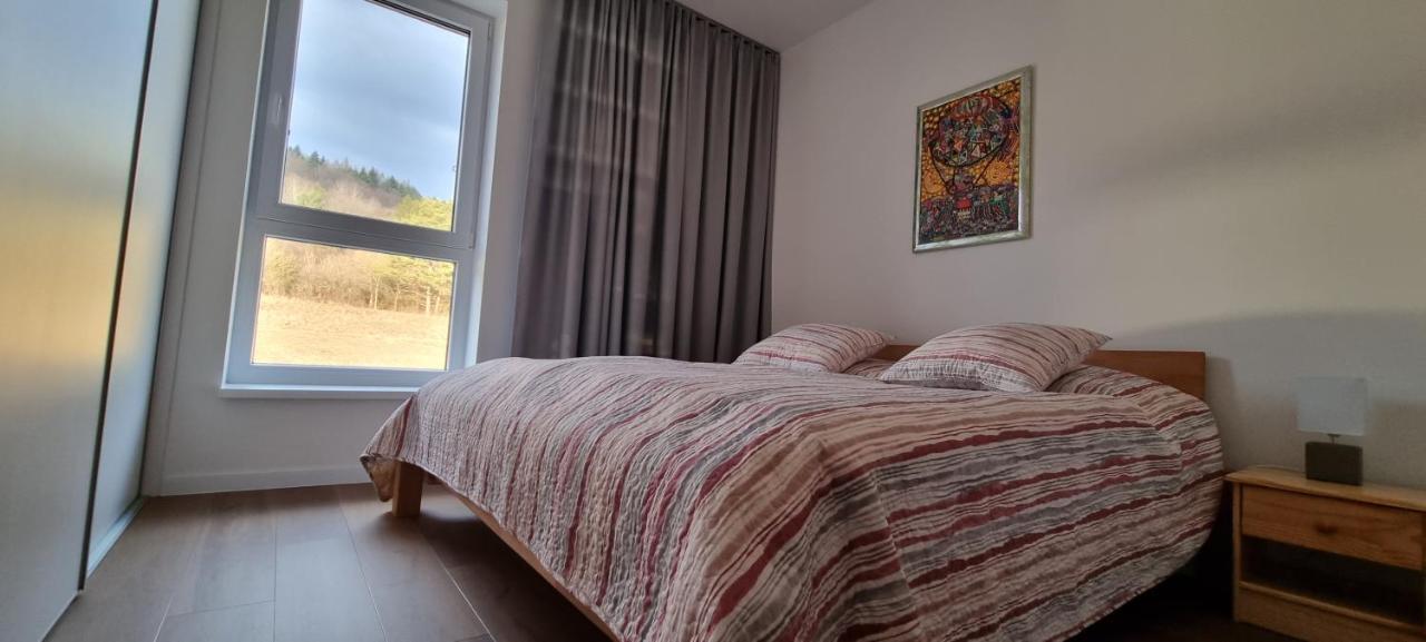 Penthouse Apartman Mineral B-4 Bardejovské Kúpele Екстериор снимка